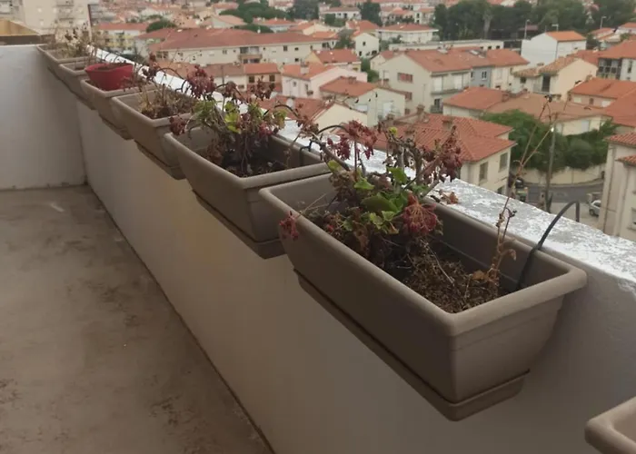 Superbe Kennedy Apartament